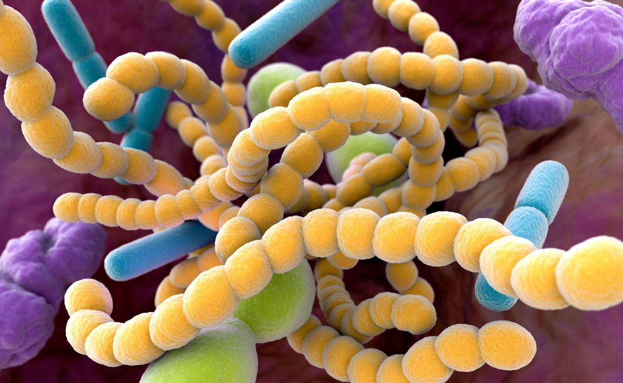 Pensi che il calore uccida tutti i batteri? Ecco la temperatura reale in cui sopravvivono