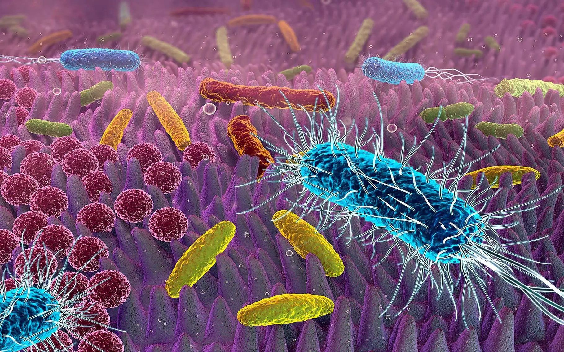 Combattere le infezioni batteriche senza antibiotici: ecco i rimedi naturali più potenti